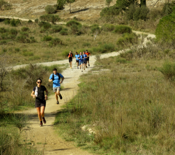 des coureurs de trail dans la garrigue autour de narbonne